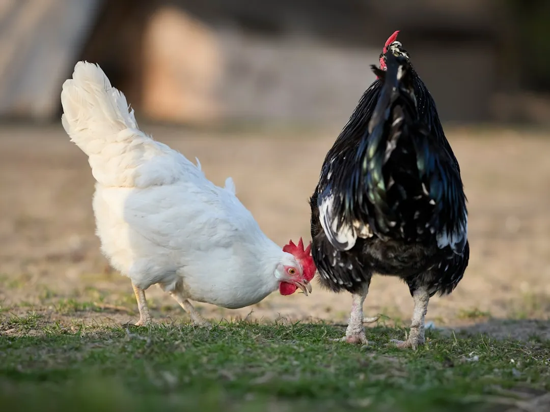西安浐灞卓越物流：跨区域货物运输时效与成本优化方案